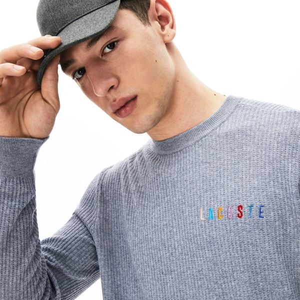 Lacoste Crewneck Embroidered Cotton Blend Sweater - Svetr Pánské Šedé | CZ-kyg5Be